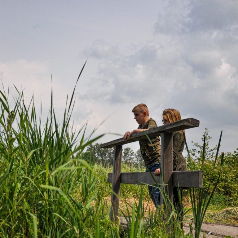 Twee kinderen staan op een brug en kijken naar het landschap met gras en bomen.
